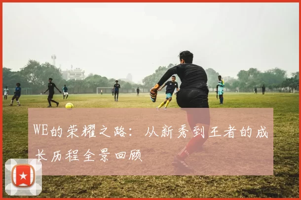 WE的荣耀之路：从新秀到王者的成长历程全景回顾