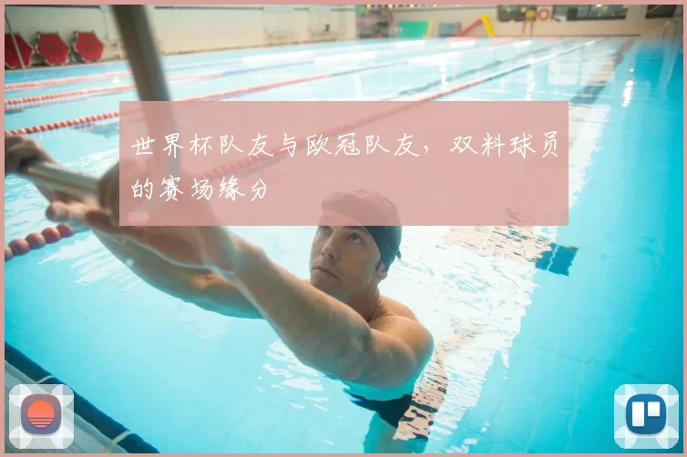 世界杯队友与欧冠队友,双料球员的赛场缘分