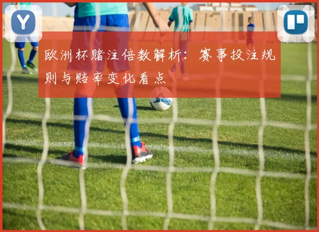 欧洲杯赌注倍数解析：赛事投注规则与赔率变化看点