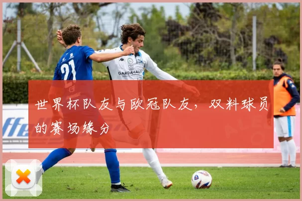 世界杯队友与欧冠队友,双料球员的赛场缘分