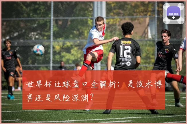 世界杯让球盘口全解析：是技术博弈还是风险深渊？