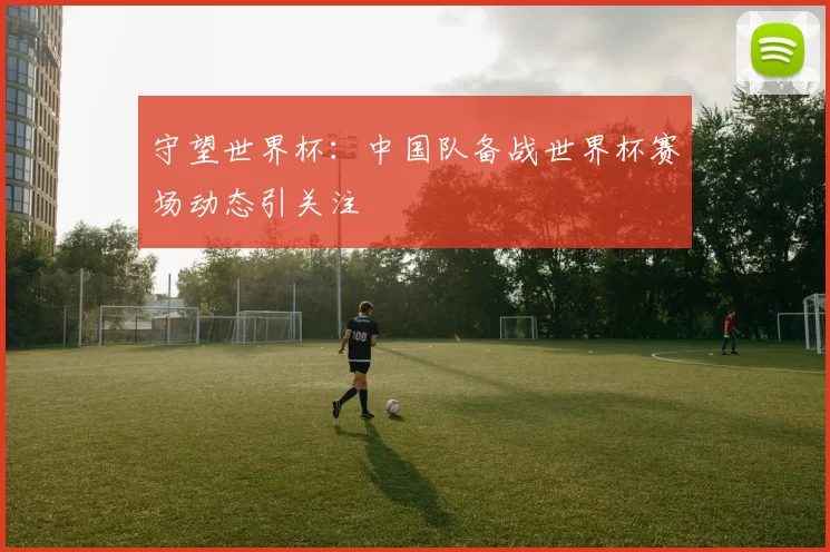 守望世界杯：中国队备战世界杯赛场动态引关注