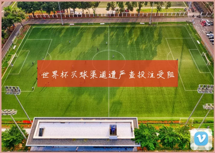 世界杯买球渠道遭严查投注受阻