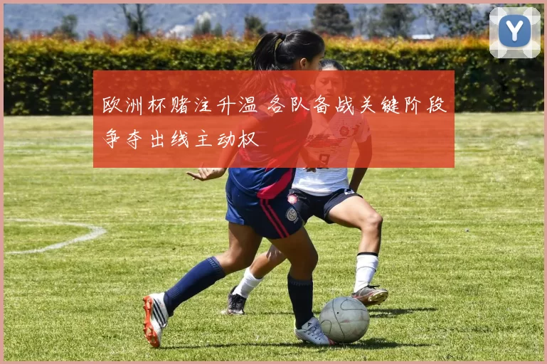 欧洲杯赌注升温 各队备战关键阶段争夺出线主动权