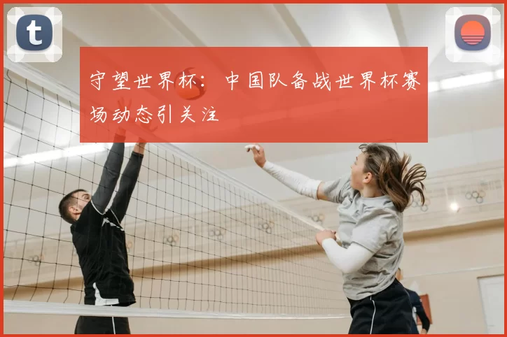 守望世界杯：中国队备战世界杯赛场动态引关注