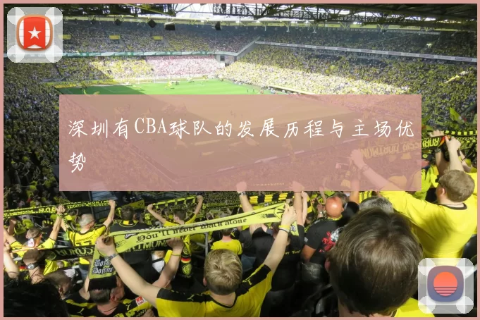 深圳有CBA球队的发展历程与主场优势