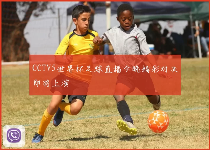 CCTV5世界杯足球直播今晚精彩对决即将上演