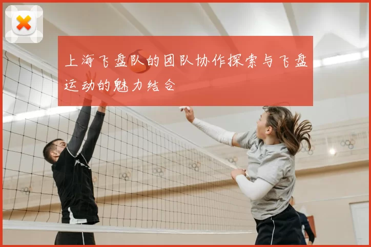 上海飞盘队的团队协作探索与飞盘运动的魅力结合